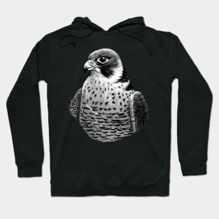 Hawk Hoodie